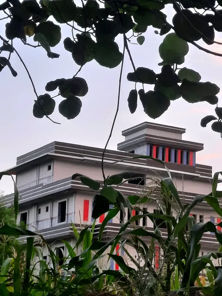 The school building seen through leaves and maize at dusk.